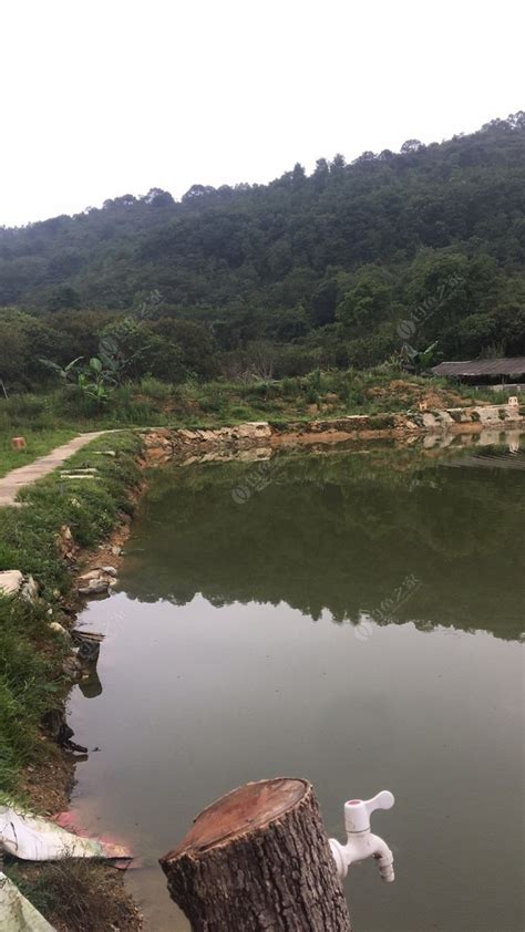 贺兰县唐徕花园垂钓中心-第1张图片-彩蝶百科