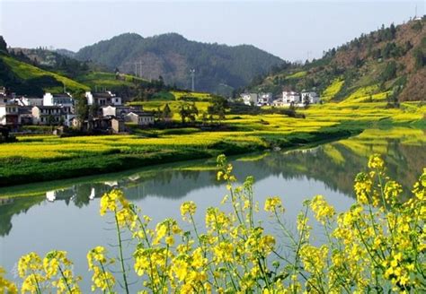 花骨鱼垂钓视频-第1张图片-彩蝶百科