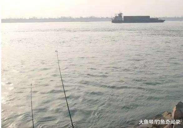 急流中钓鱼-第1张图片-彩蝶百科 急流中钓鱼-第1张图片-彩蝶百科