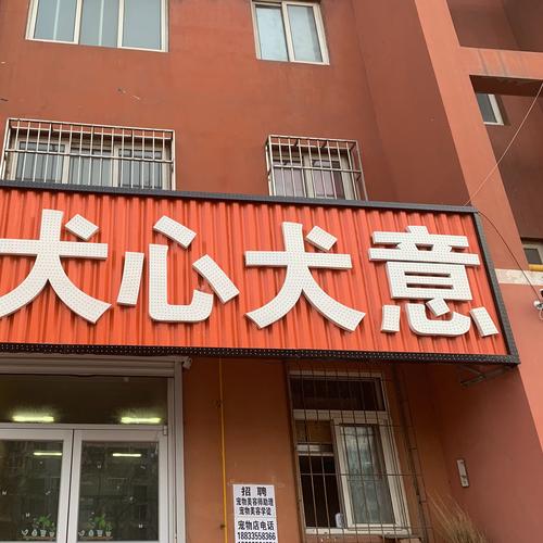 秦皇岛宠物医院24小时营业-第1张图片-彩蝶百科 秦皇岛宠物医院24小时营业-第1张图片-彩蝶百科