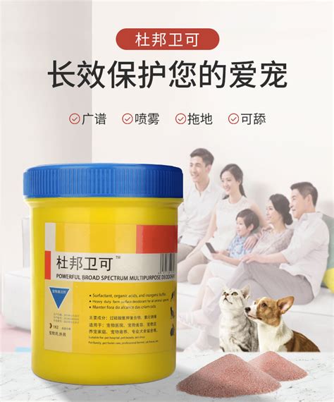 聪明的宠物有哪些-第1张图片-彩蝶百科