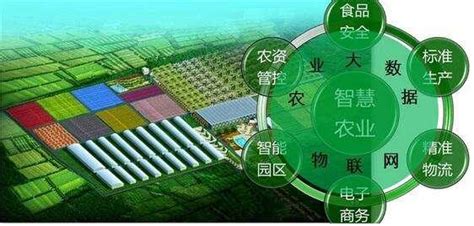 农业机械营销策划方案-第1张图片-彩蝶百科