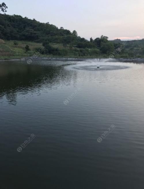 渝北区野钓-第1张图片-彩蝶百科