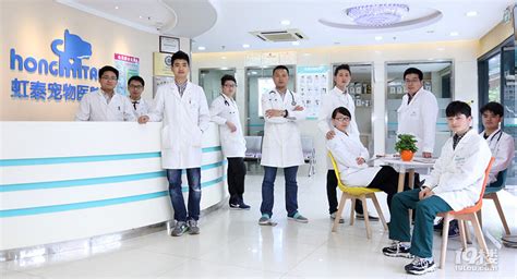 杭州宠物公立医院-第1张图片-彩蝶百科
