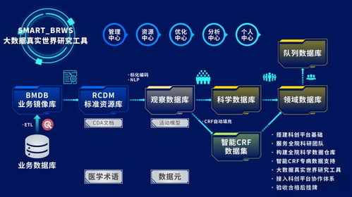 数据学科（DataScience）-第1张图片-彩蝶百科