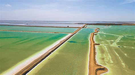 1.背景-第1张图片-彩蝶百科 1.背景-第1张图片-彩蝶百科