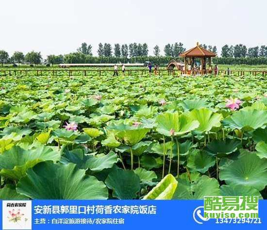 保定瀚海垂钓园电话-第1张图片-彩蝶百科