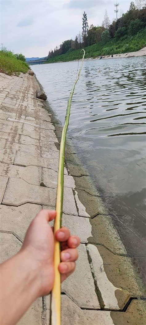 双牌至江村的班车时间表-第1张图片-彩蝶百科