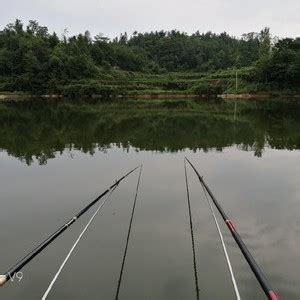 成县高峰水库-第1张图片-彩蝶百科