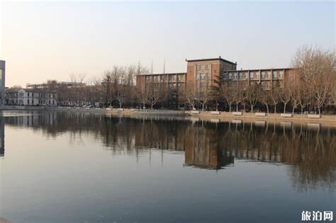 南开大学“数学与大数据科学”专业介绍-第1张图片-彩蝶百科