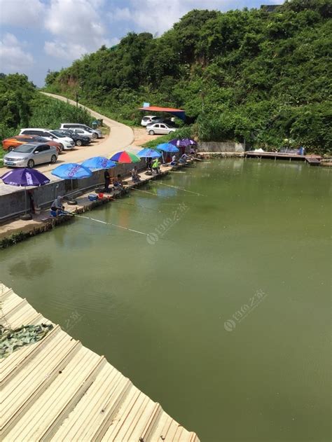 南京泉水农庄垂钓园地址-第1张图片-彩蝶百科