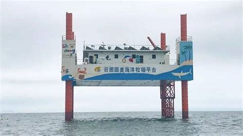 新密民宿推荐-第1张图片-彩蝶百科 新密民宿推荐-第1张图片-彩蝶百科