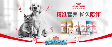 皇家宠物食品:为您的宠物健康选择-第1张图片-彩蝶百科 皇家宠物食品:为您的宠物健康选择-第1张图片-彩蝶百科