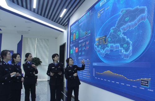 美亚龚波大数据在警务领域的应用-第1张图片-彩蝶百科