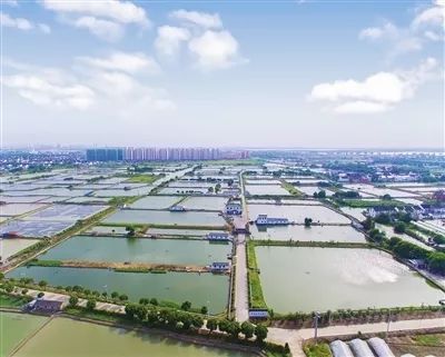 朝阳区金海泽垂钓园-第1张图片-彩蝶百科 朝阳区金海泽垂钓园-第1张图片-彩蝶百科