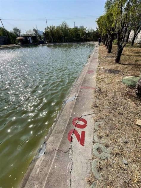 嘉定宏泰园做什么的-第1张图片-彩蝶百科