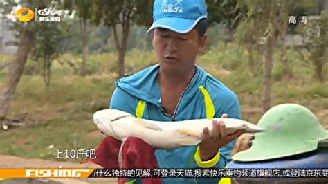 快乐垂钓腾讯-收获快乐，享受钓鱼乐趣-第1张图片-彩蝶百科