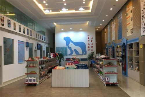 宠物医院加盟店-第1张图片-彩蝶百科