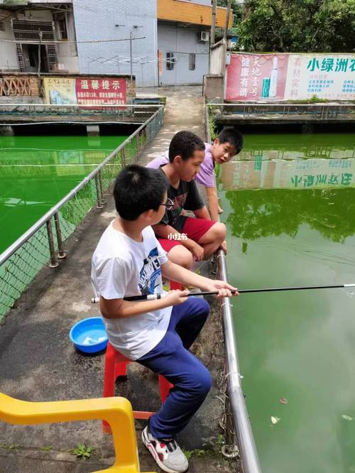 享受垂钓乐趣的假日-第1张图片-彩蝶百科