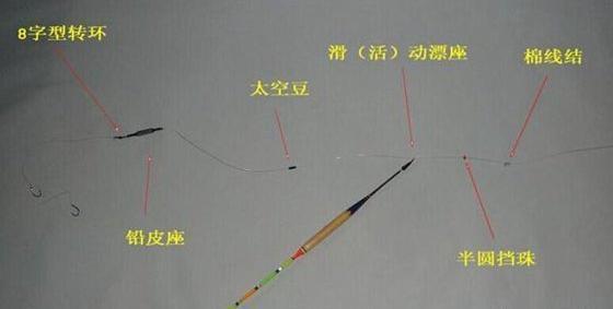 垂钓鲫鱼技巧-第1张图片-彩蝶百科