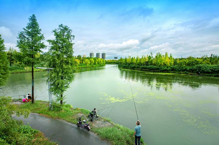 导航去城北休闲垂钓-第1张图片-彩蝶百科 导航去城北休闲垂钓-第1张图片-彩蝶百科