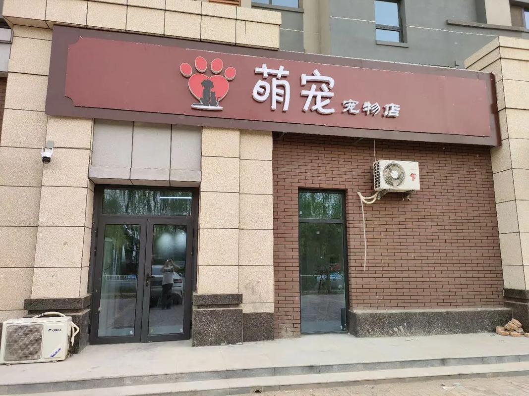 开宠物店需要什么手续和证件-第1张图片-彩蝶百科