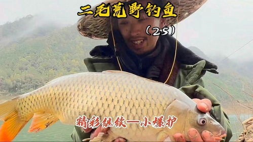 挑战与收获-第1张图片-彩蝶百科