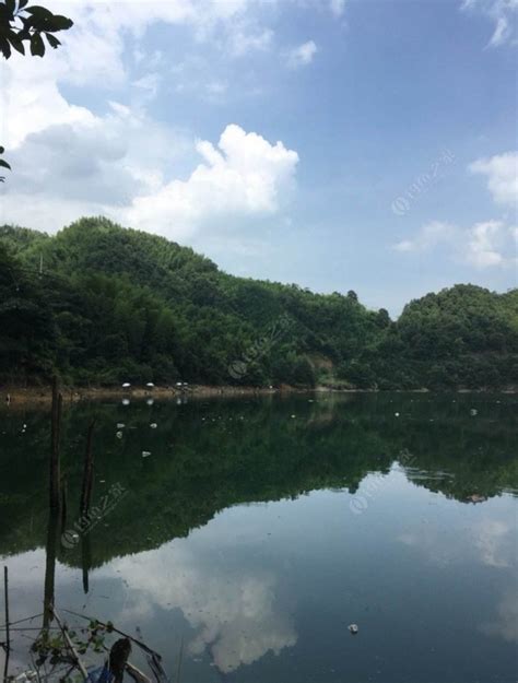 费县垂钓园-第1张图片-彩蝶百科