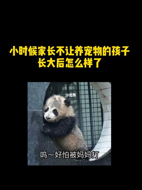 该不该让孩子养狗-第1张图片-彩蝶百科 该不该让孩子养狗-第1张图片-彩蝶百科
