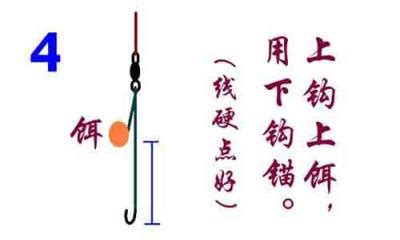 钓鱼安全警示标语-第1张图片-彩蝶百科