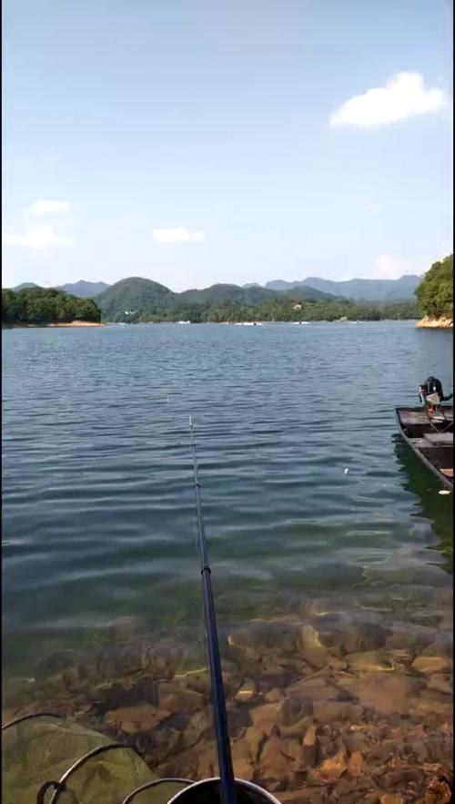 太平湖垂钓区域-第1张图片-彩蝶百科