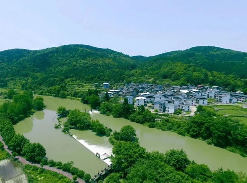 金灵泉垂钓园-第1张图片-彩蝶百科