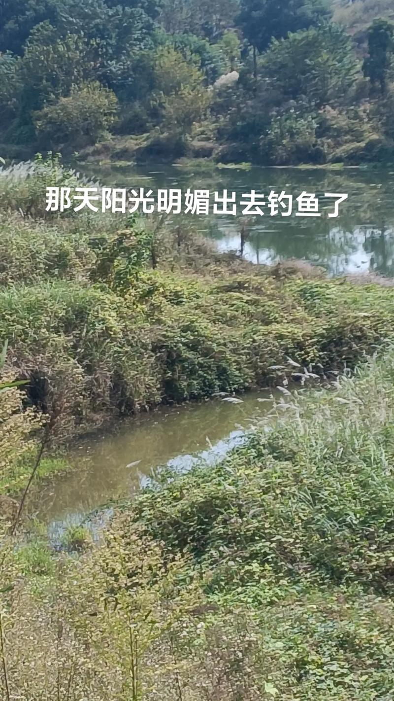 悬坠钓是什么意思-第1张图片-彩蝶百科