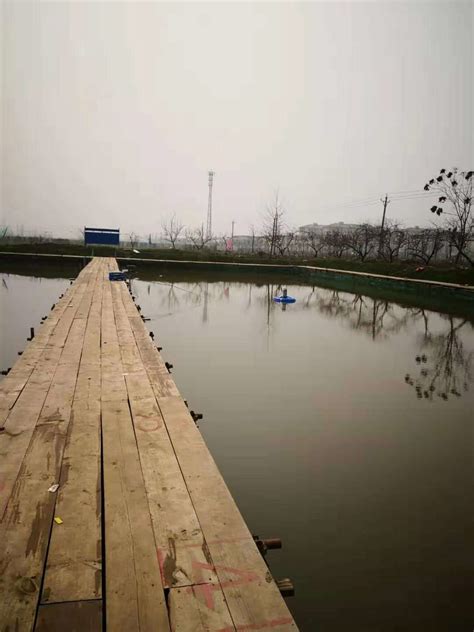 济南周边免费垂钓场所-第1张图片-彩蝶百科