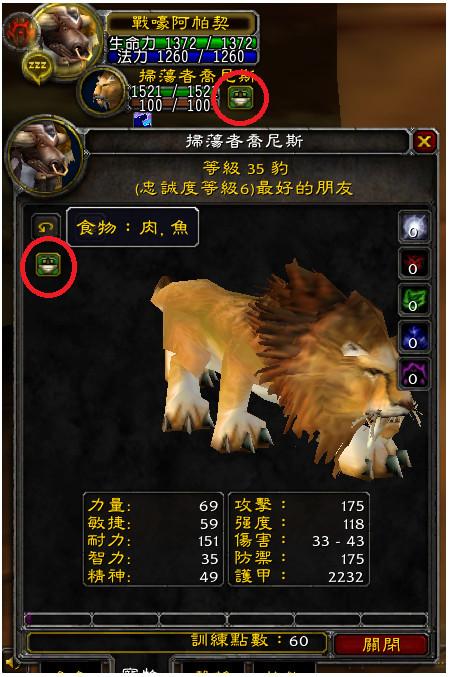怀旧服宠物什么时候开始-第1张图片-彩蝶百科
