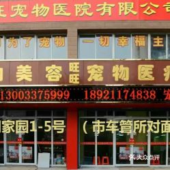 佩森宠物医院：关爱宠物健康，提供专业医护服务-第1张图片-彩蝶百科