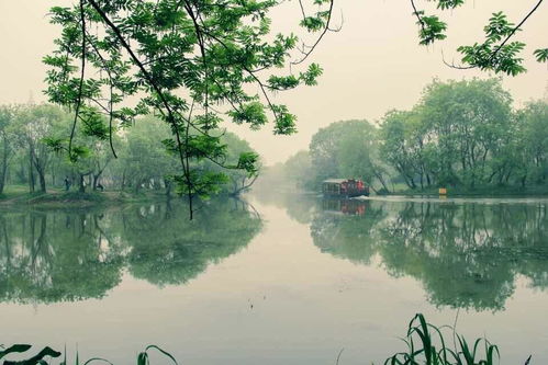 西溪湿地里面能开车吗-第1张图片-彩蝶百科 西溪湿地里面能开车吗-第1张图片-彩蝶百科