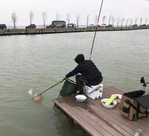 钓鱼翁网站怎么没有了-第1张图片-彩蝶百科