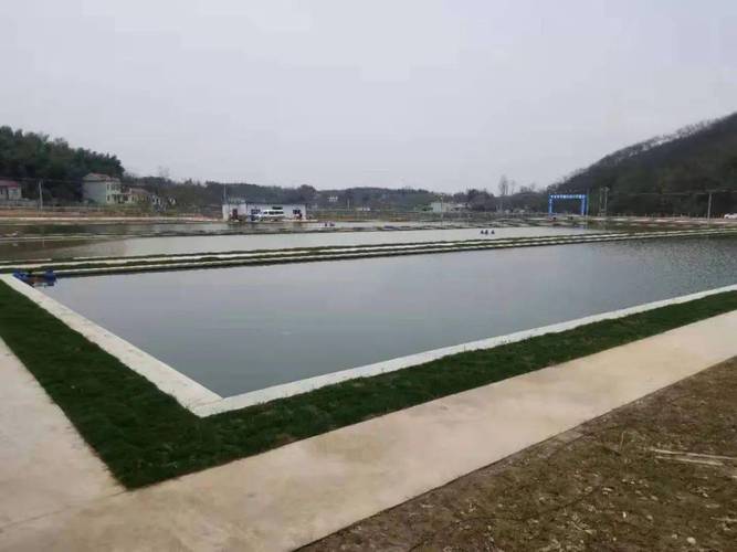 蓝光垂钓基地不能垂钓?原因分析及解决建议-第1张图片-彩蝶百科 蓝光垂钓基地不能垂钓?原因分析及解决建议-第1张图片-彩蝶百科