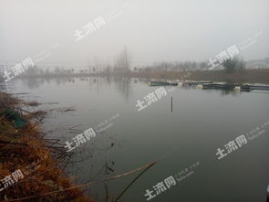 乐安休闲垂钓基地-第1张图片-彩蝶百科