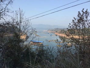 沅陵河里准钓鱼吗-第1张图片-彩蝶百科
