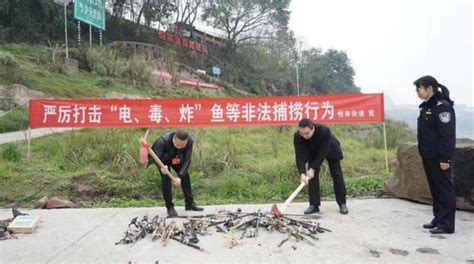 长江非法捕鱼的定罪量刑-第1张图片-彩蝶百科