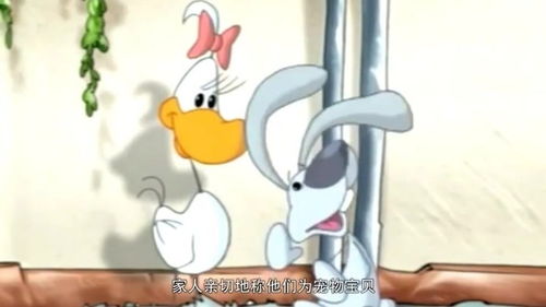 宠物老友记评价-第1张图片-彩蝶百科 宠物老友记评价-第1张图片-彩蝶百科