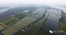 江门江海区野钓地方-第1张图片-彩蝶百科