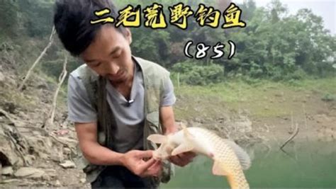 二毛荒野垂钓最新视频-第1张图片-彩蝶百科