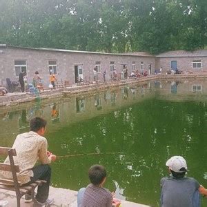 新民钓鱼-第1张图片-彩蝶百科