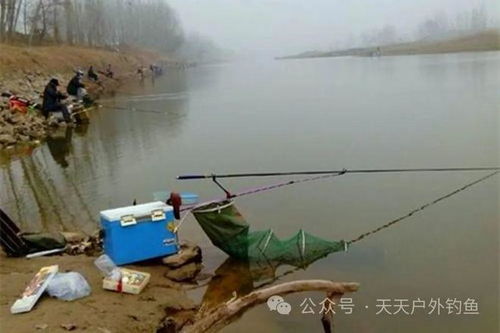 冬季大棚钓鱼如何调漂-第1张图片-彩蝶百科