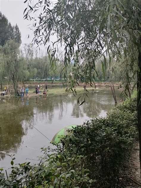 桃花源垂钓中心如何收费-第1张图片-彩蝶百科