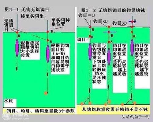 春季黑坑钓鲫鱼技巧-第1张图片-彩蝶百科