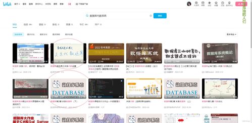 拍拍贷查看大数据信息是真的吗-第1张图片-彩蝶百科